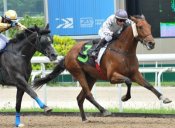 Inspire (Manoel Nunes) and Verglatica fight out the finish to Race 2 on Sunday.<br>Photo by Singapore Turf Club